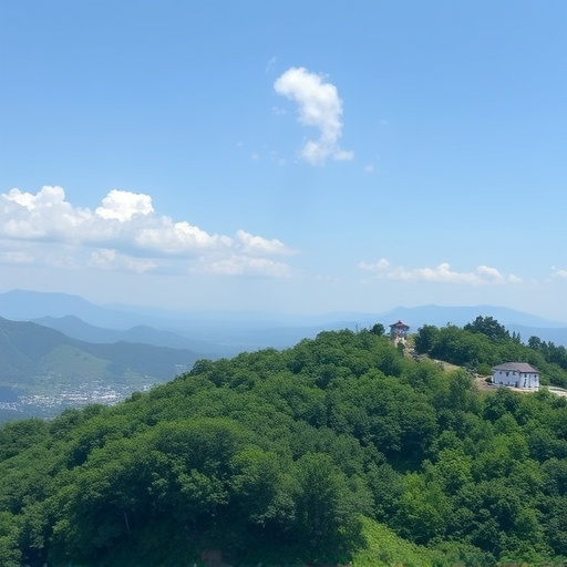 WPS宏如何有效提升逻辑思维能力？